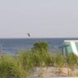 Meet your Posher, Jenn